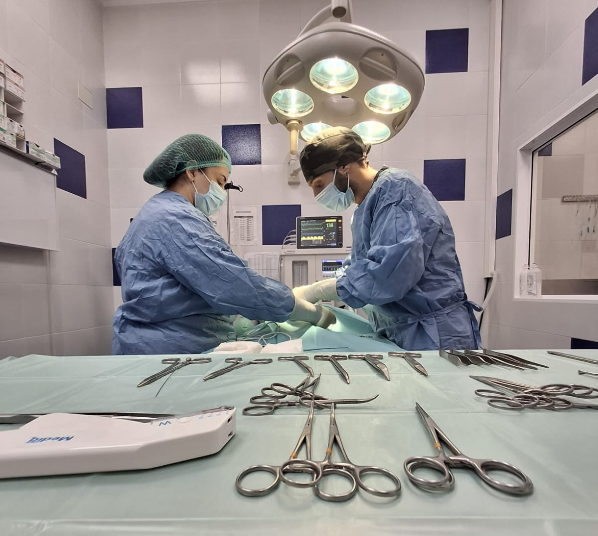 Remision Casos Veterinarios Castellon