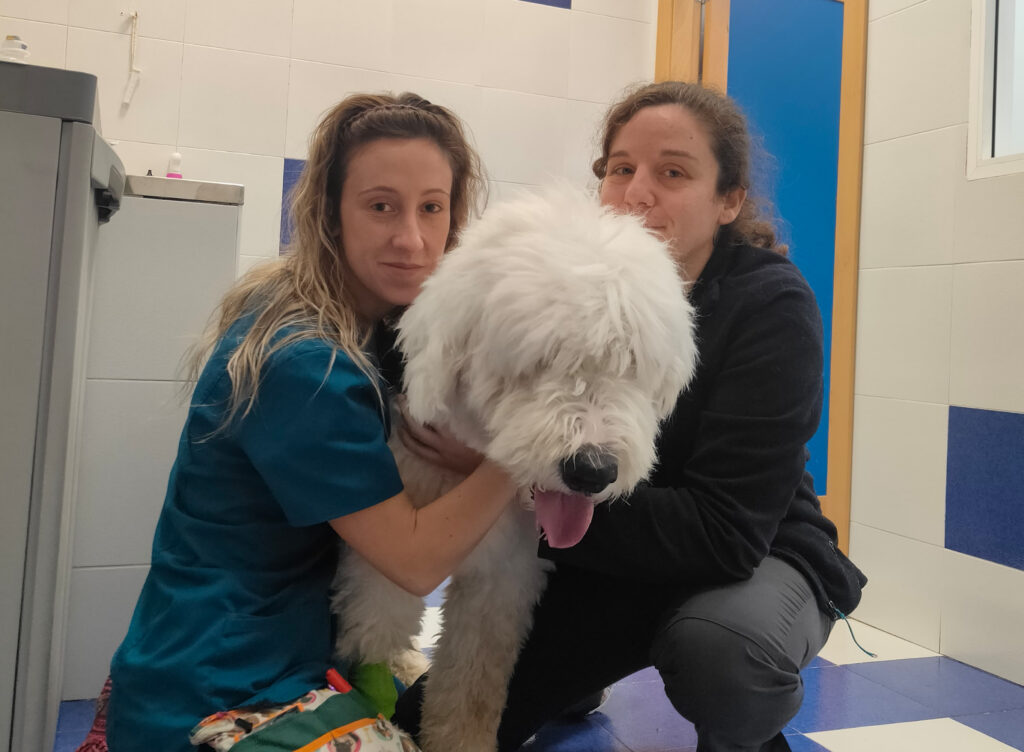 Equipo Veterinario Costa Azahar Castellon