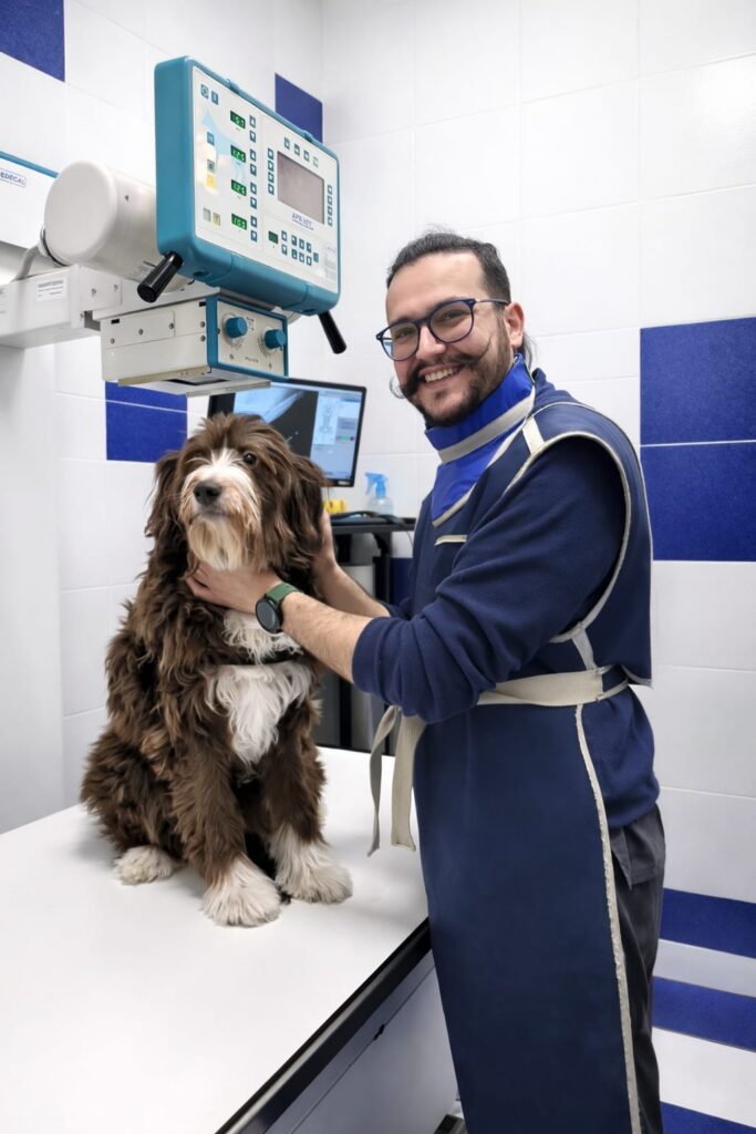 Hospital Veterinario en Castellon