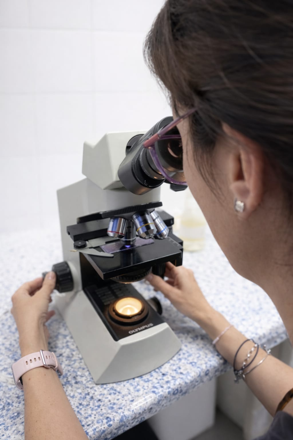 Servicios Veterinarios en Castellon