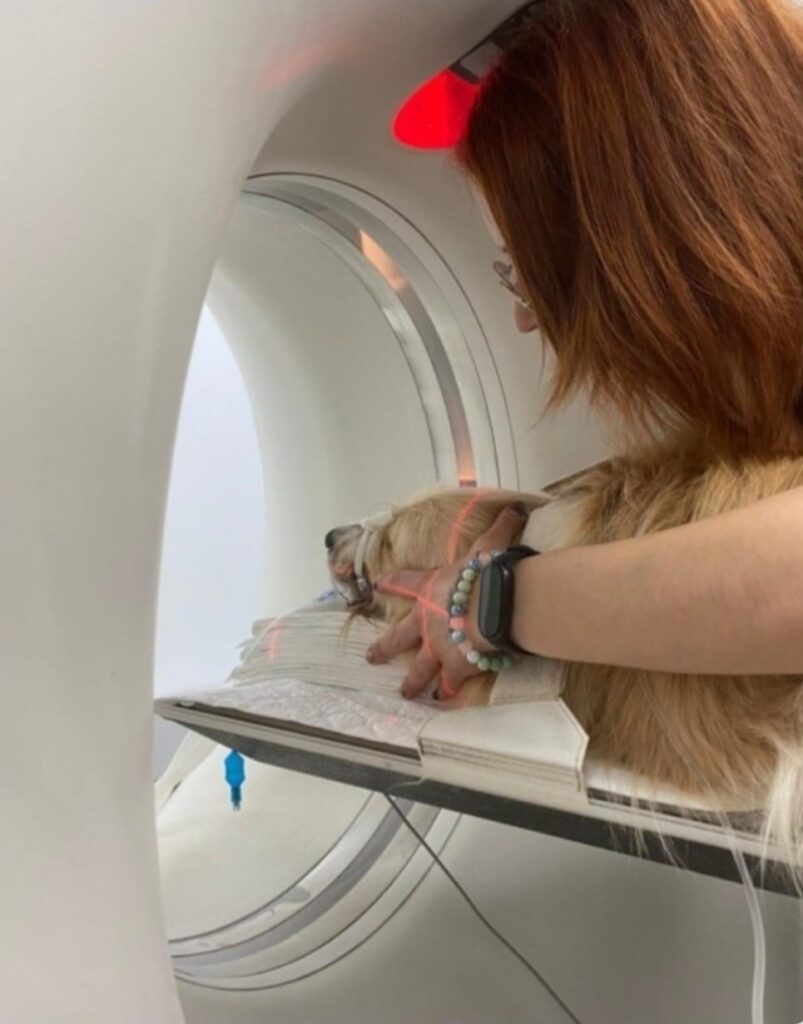 Servicios Veterinarios en Castellon