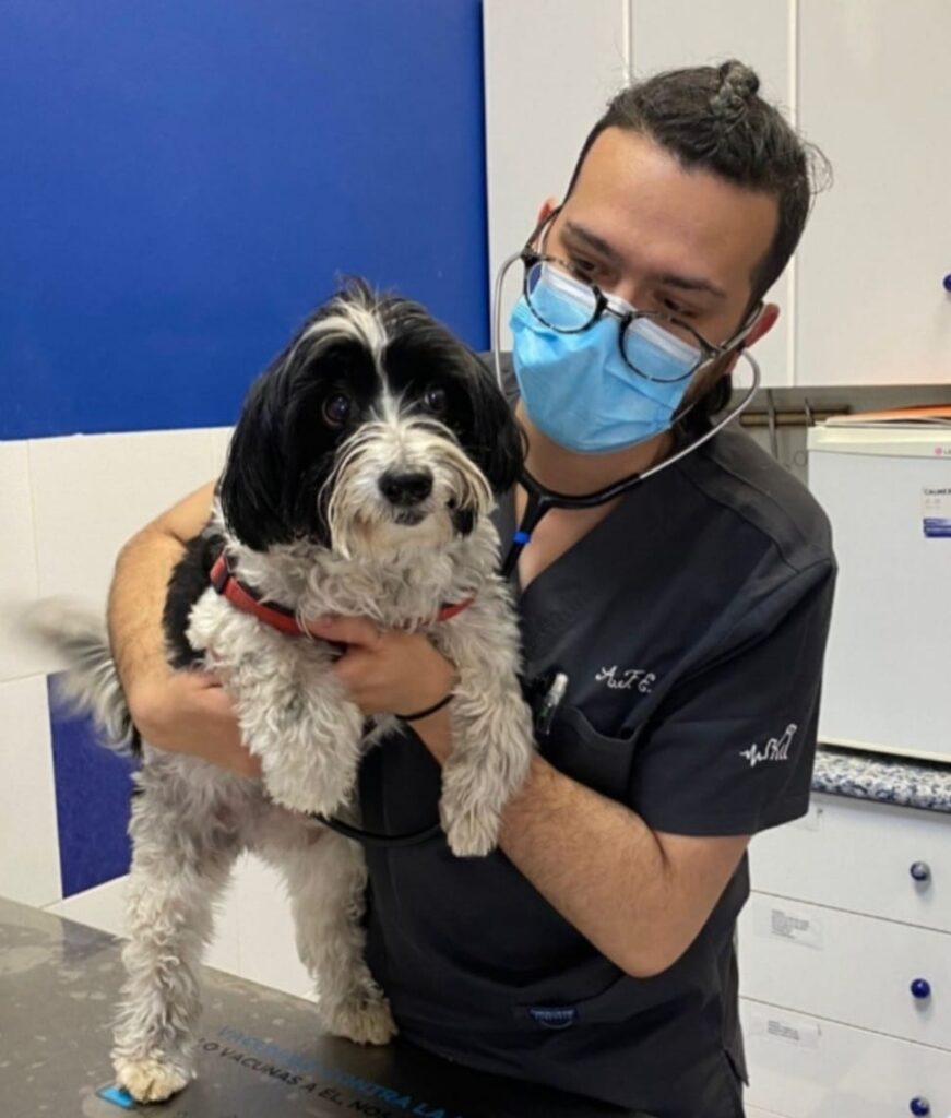 Equipo Veterinario Costa Azahara Castellon