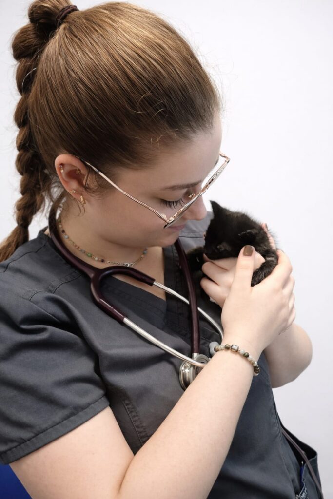Equipo Veterinario Costa Azahara Castellon