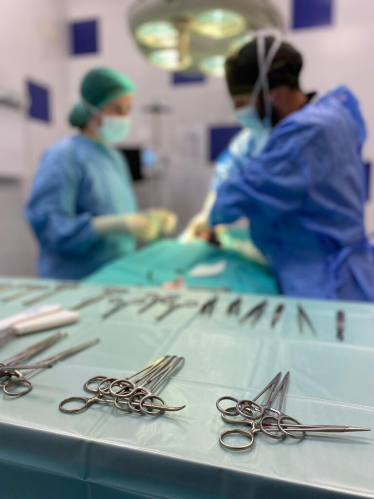 Servicios Veterinarios en Castellon